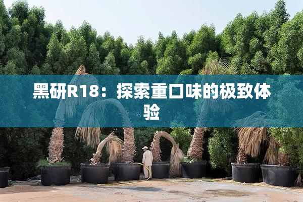 黑研R18：探索重口味的极致体验