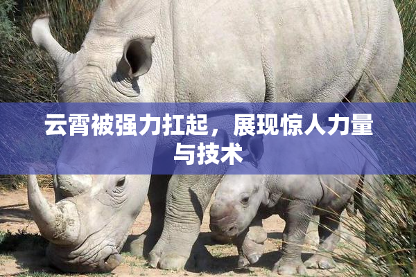 云霄被强力扛起，展现惊人力量与技术