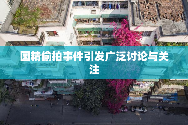 国精偷拍事件引发广泛讨论与关注