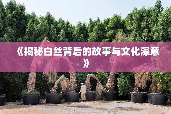 《揭秘白丝背后的故事与文化深意》