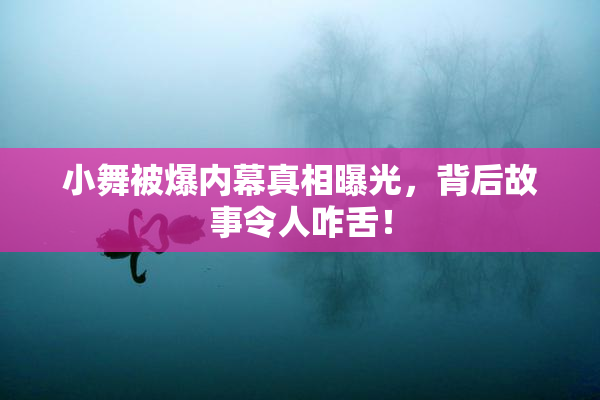 小舞被爆内幕真相曝光，背后故事令人咋舌！