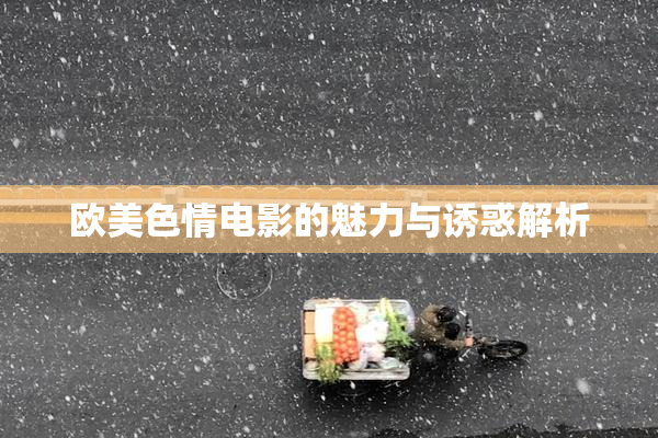 欧美色情电影的魅力与诱惑解析