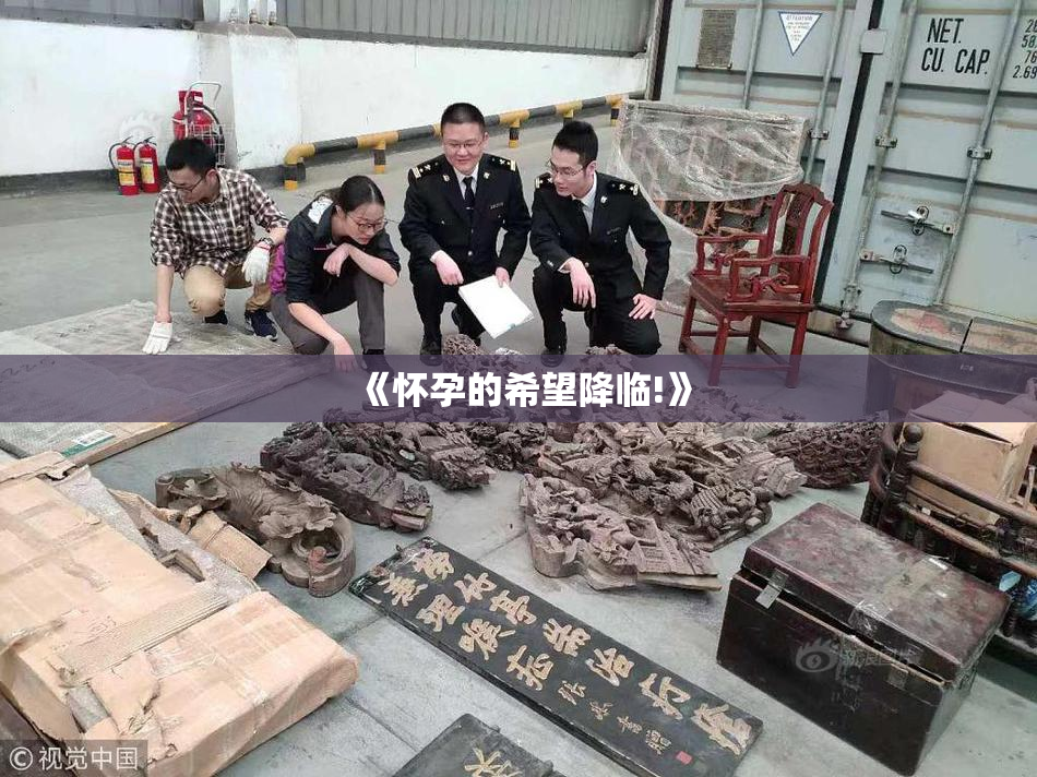 《怀孕的希望降临!》