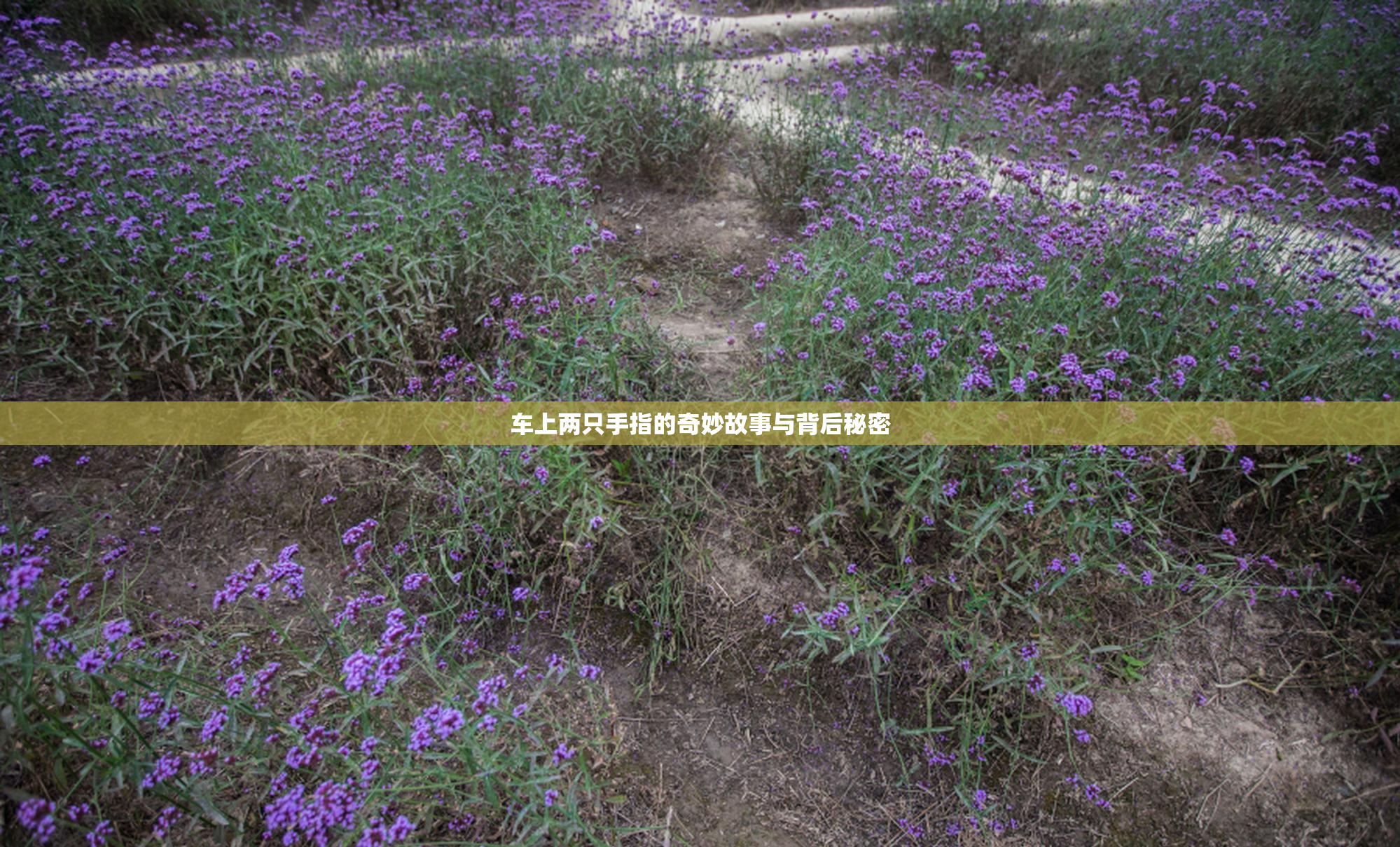 车上两只手指的奇妙故事与背后秘密