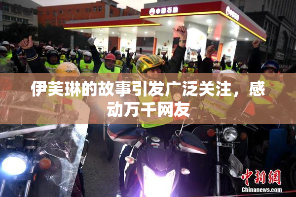 伊芙琳的故事引发广泛关注，感动万千网友