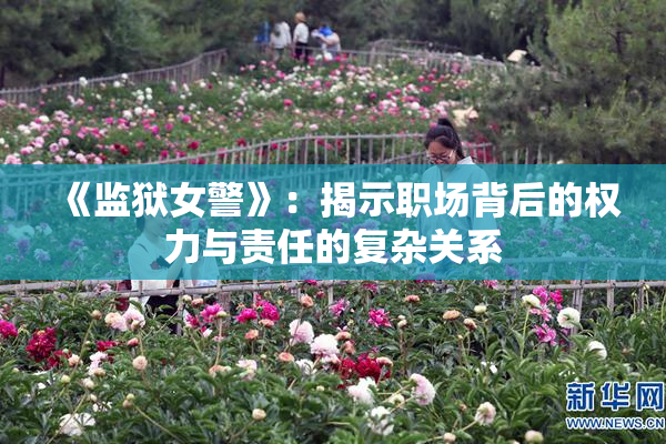 《监狱女警》：揭示职场背后的权力与责任的复杂关系