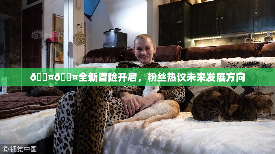 🐤🐤全新冒险开启，粉丝热议未来发展方向