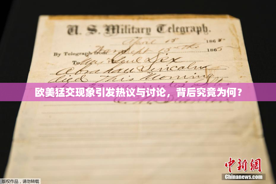 欧美猛交现象引发热议与讨论，背后究竟为何？