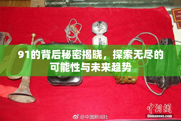 91的背后秘密揭晓，探索无尽的可能性与未来趋势