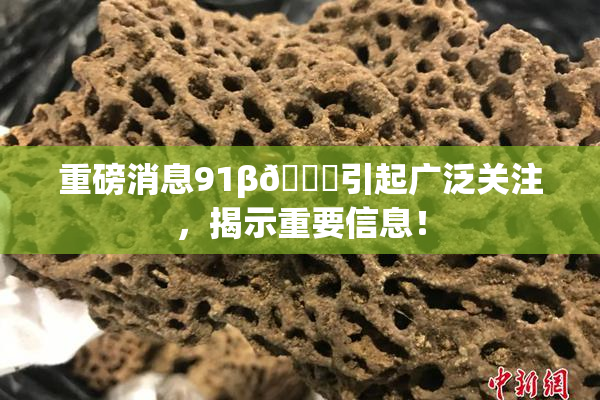 重磅消息91β🍆引起广泛关注，揭示重要信息！