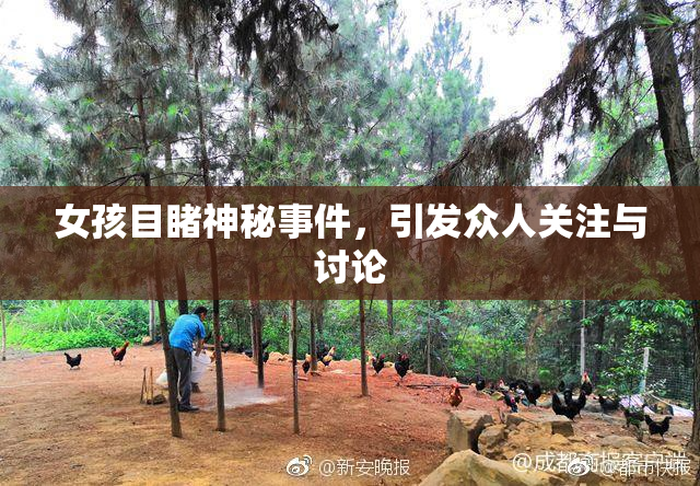 女孩目睹神秘事件，引发众人关注与讨论