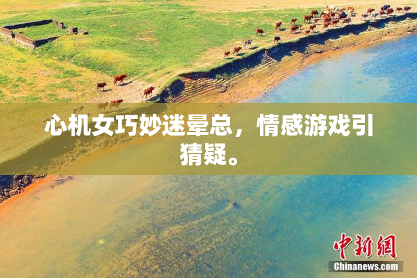 心机女巧妙迷晕总，情感游戏引猜疑。