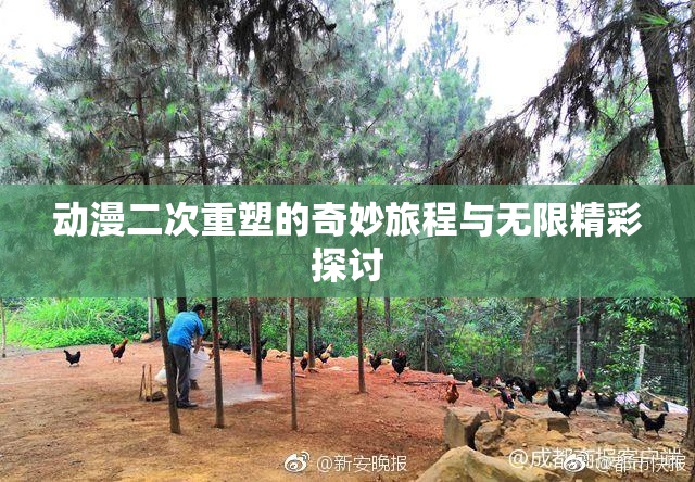 动漫二次重塑的奇妙旅程与无限精彩探讨