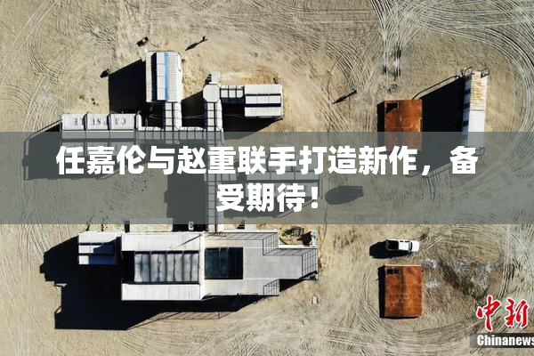 任嘉伦与赵重联手打造新作，备受期待！
