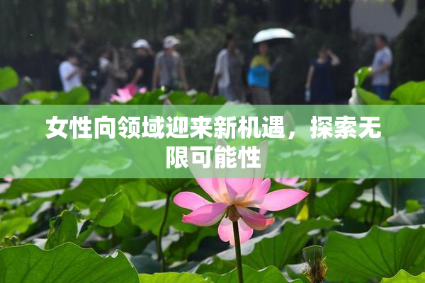 女性向领域迎来新机遇，探索无限可能性