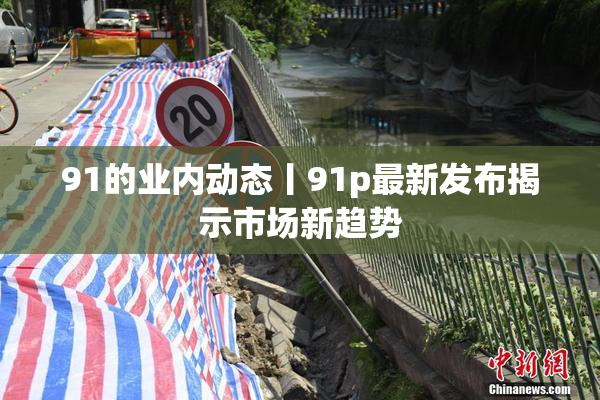 91的业内动态丨91p最新发布揭示市场新趋势