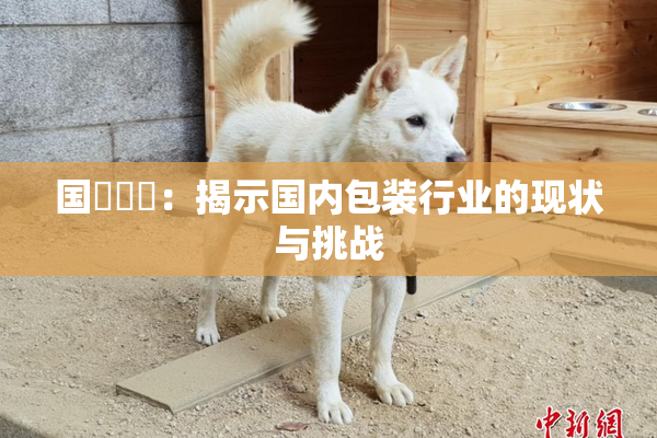 国產梱綁：揭示国内包装行业的现状与挑战