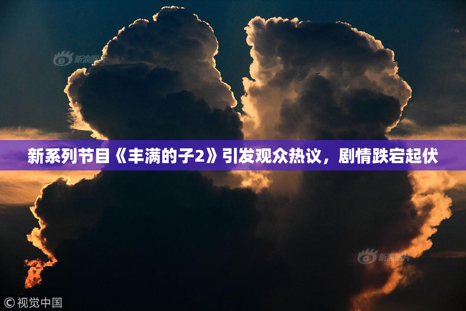 新系列节目《丰满的子2》引发观众热议，剧情跌宕起伏