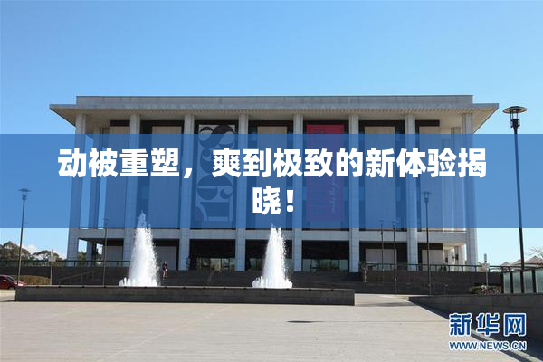 动被重塑，爽到极致的新体验揭晓！
