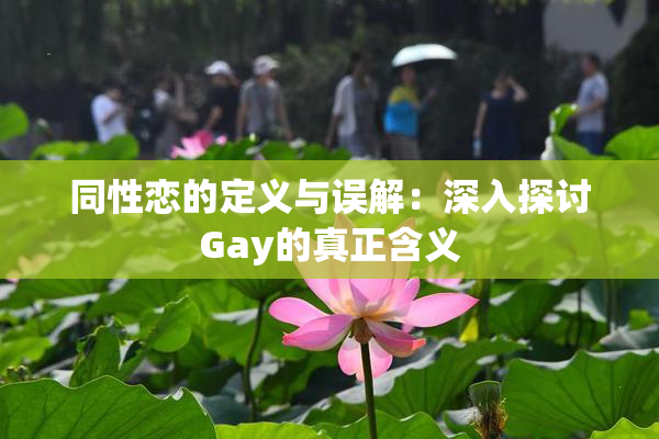 同性恋的定义与误解：深入探讨Gay的真正含义