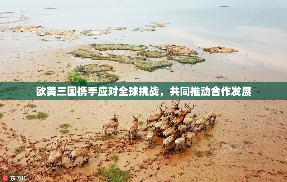 欧美三国携手应对全球挑战，共同推动合作发展
