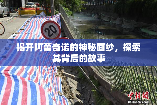 揭开阿蕾奇诺的神秘面纱，探索其背后的故事