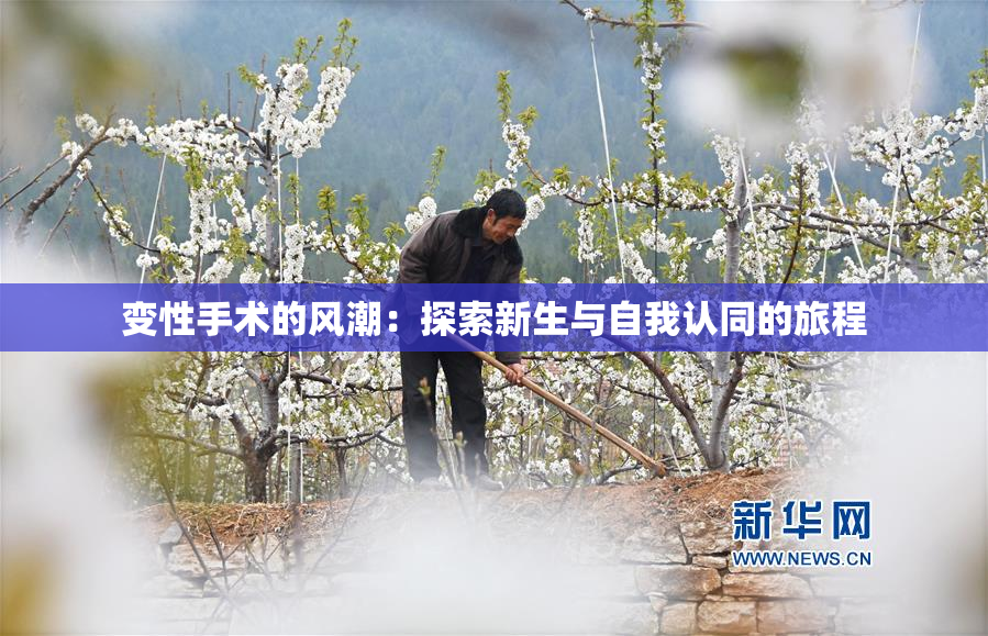 变性手术的风潮：探索新生与自我认同的旅程