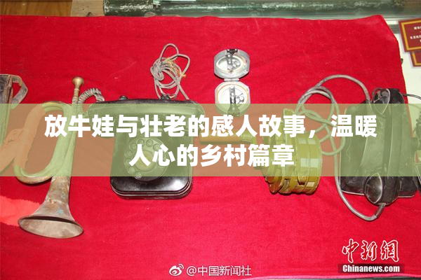 放牛娃与壮老的感人故事，温暖人心的乡村篇章