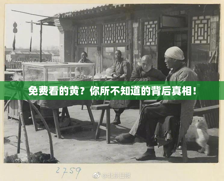 免费看的黄？你所不知道的背后真相！
