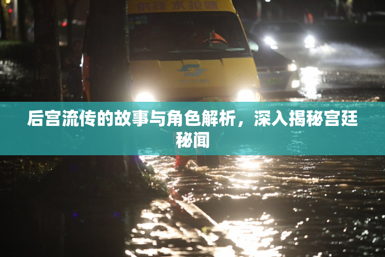 后宫流传的故事与角色解析，深入揭秘宫廷秘闻