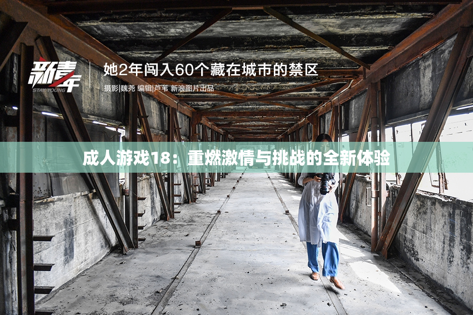 成人游戏18：重燃激情与挑战的全新体验
