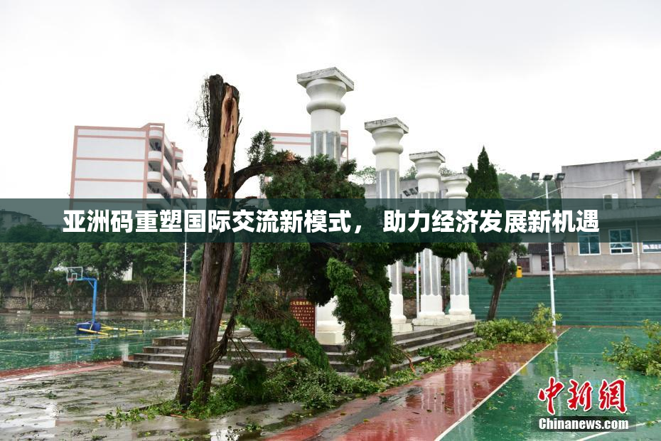 亚洲码重塑国际交流新模式， 助力经济发展新机遇