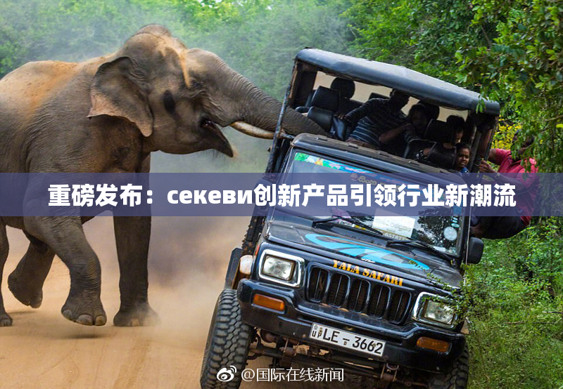 重磅发布：ceкеви创新产品引领行业新潮流