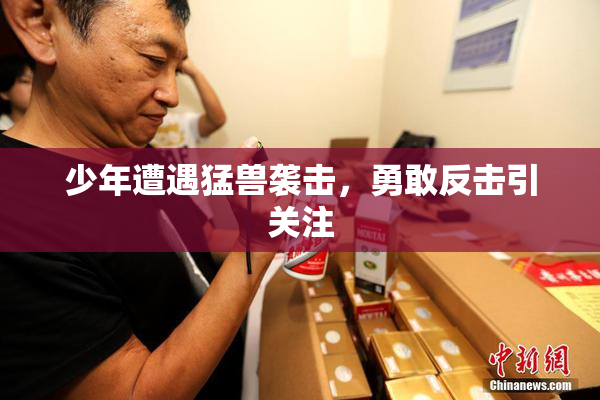 少年遭遇猛兽袭击，勇敢反击引关注