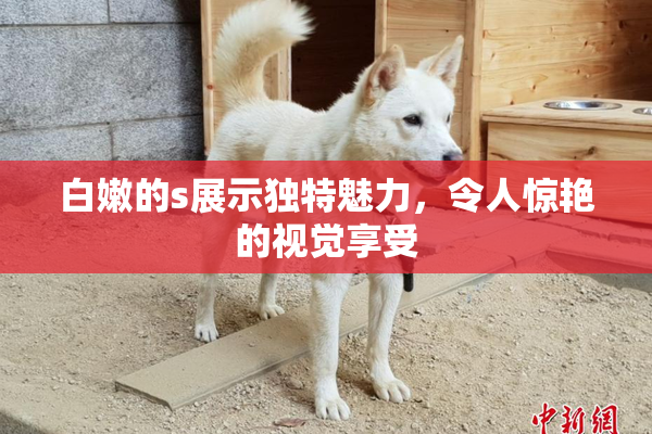 白嫩的s展示独特魅力，令人惊艳的视觉享受
