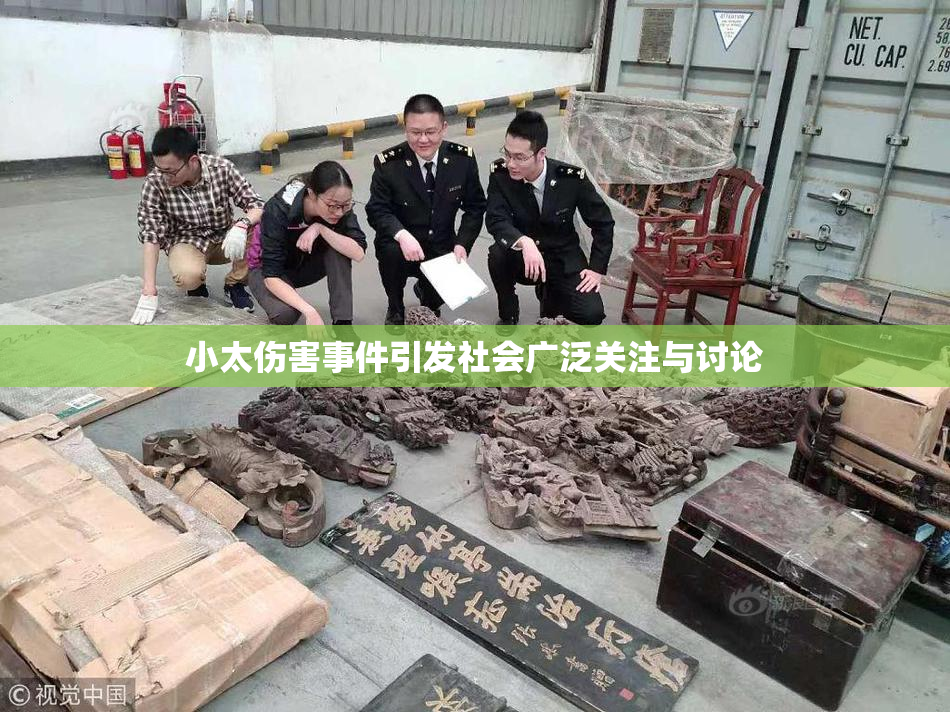 小太伤害事件引发社会广泛关注与讨论