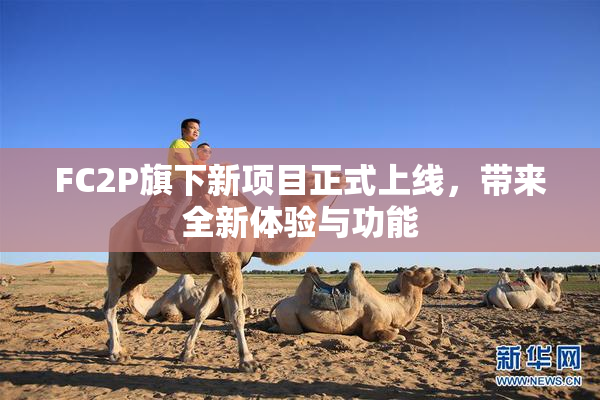 FC2P旗下新项目正式上线，带来全新体验与功能