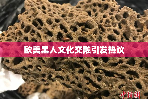 欧美黑人文化交融引发热议