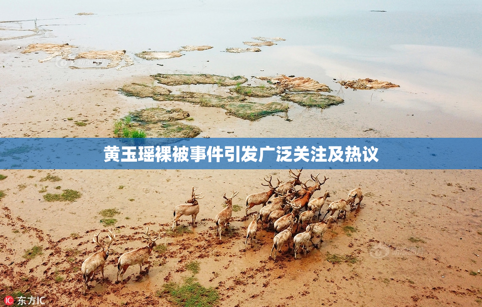 黄玉瑶裸被事件引发广泛关注及热议