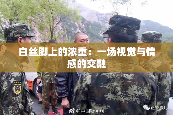白丝脚上的浓重：一场视觉与情感的交融