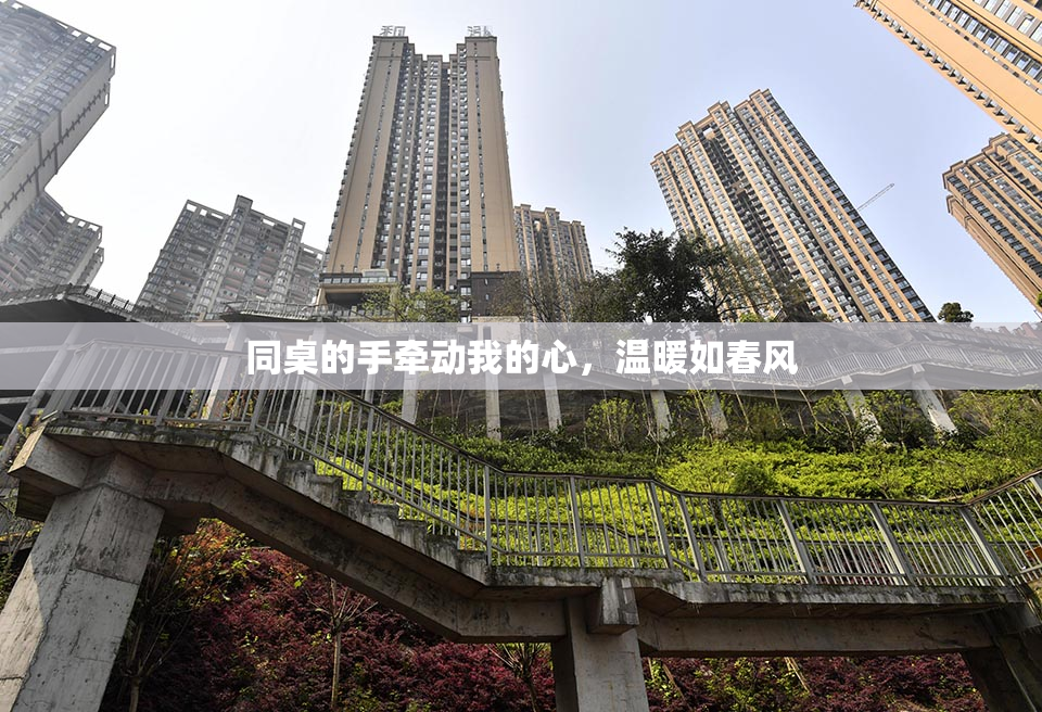 同桌的手牵动我的心，温暖如春风