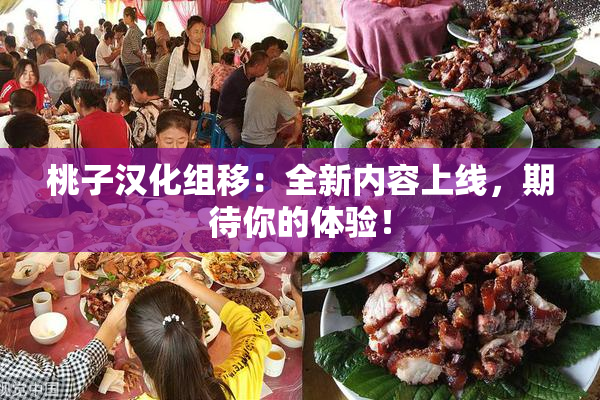桃子汉化组移：全新内容上线，期待你的体验！