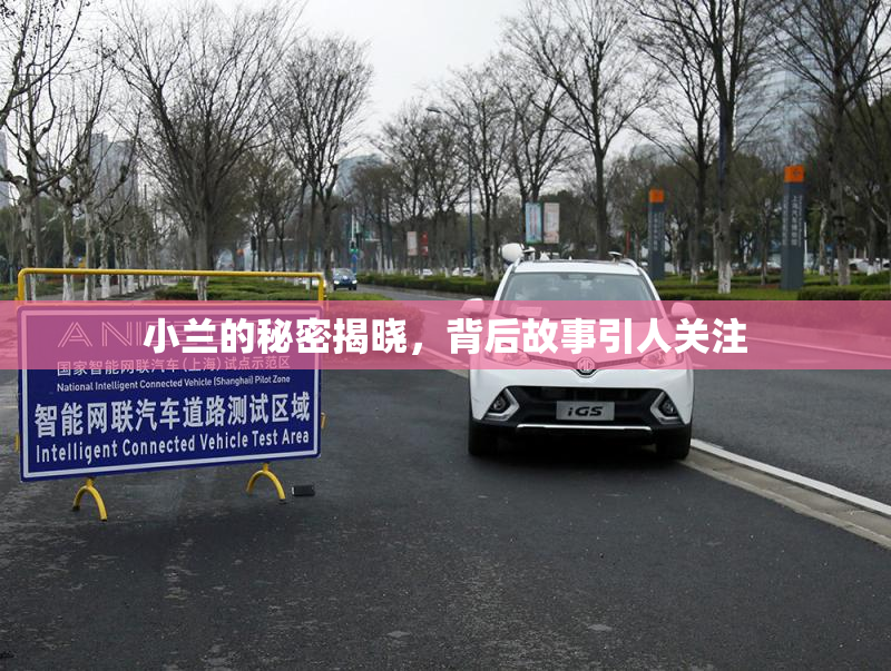 小兰的秘密揭晓，背后故事引人关注