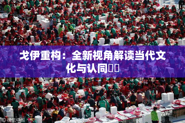 戈伊重构：全新视角解读当代文化与认同問題