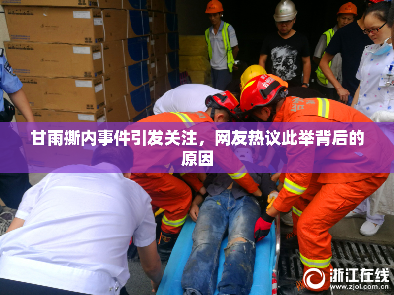 甘雨撕内事件引发关注，网友热议此举背后的原因