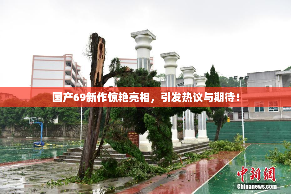 国产69新作惊艳亮相，引发热议与期待！