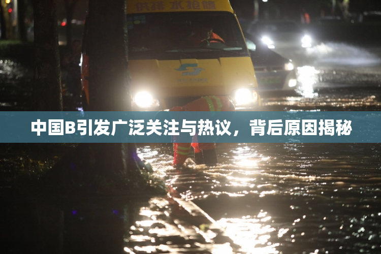 中国B引发广泛关注与热议，背后原因揭秘