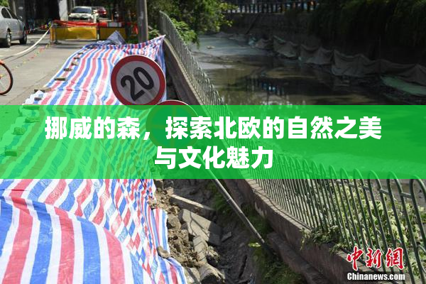 挪威的森，探索北欧的自然之美与文化魅力