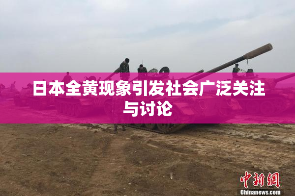 日本全黄现象引发社会广泛关注与讨论