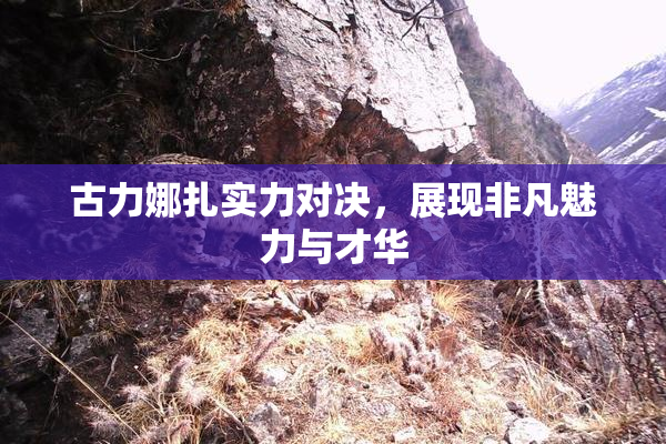 古力娜扎实力对决，展现非凡魅力与才华